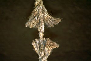 Test Image